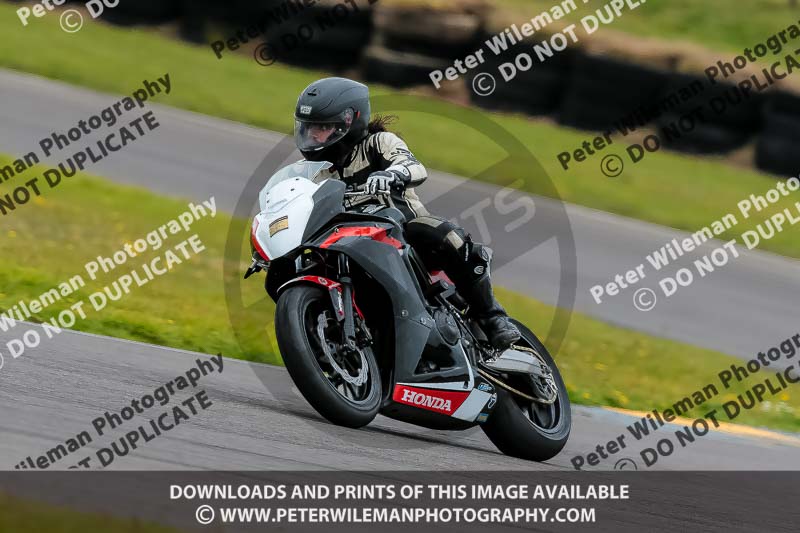 PJ Motorsport 2019;anglesey no limits trackday;anglesey photographs;anglesey trackday photographs;enduro digital images;event digital images;eventdigitalimages;no limits trackdays;peter wileman photography;racing digital images;trac mon;trackday digital images;trackday photos;ty croes